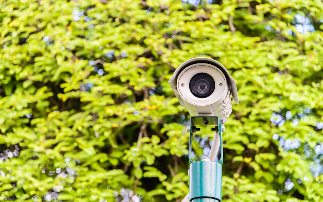 CCTV Cameras : 7 ways to protect your home