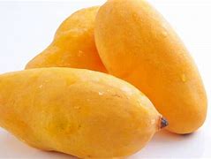 Mango: King of Fruits Unparalleled Still in 2025