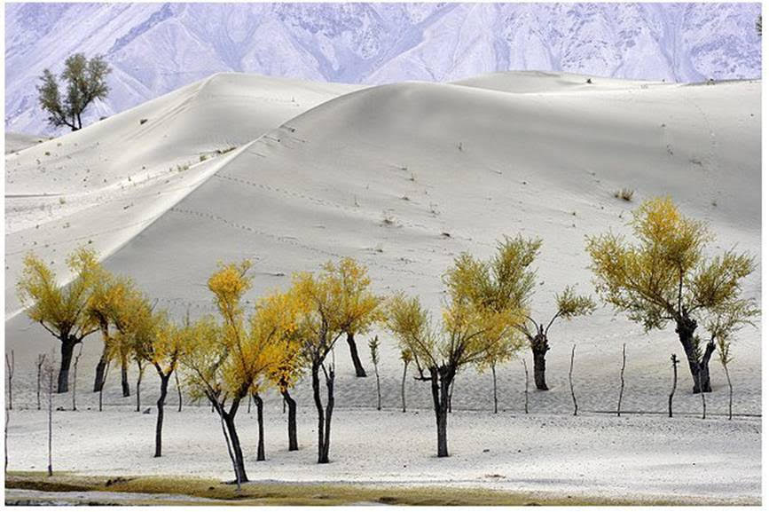 Cold Desert of Skardu