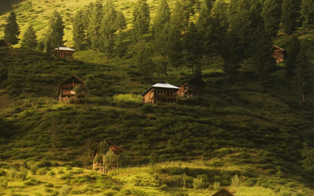 Village Halmet in Neelum Valley