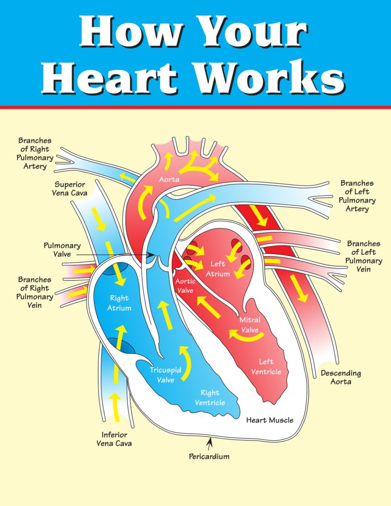 Heart Disease