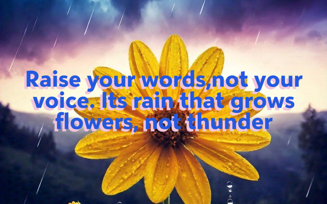 Raise Your Words, Not Voice